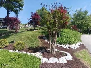 126 Boone St, Jonesborough, TN 37659 - photo 3
