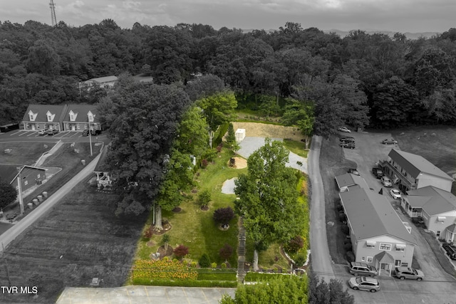 126 Boone St, Jonesborough, TN 37659 - photo 17