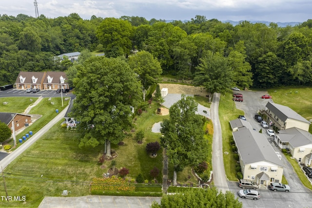 126 Boone St, Jonesborough, TN 37659 - photo 20