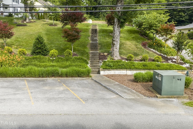 126 Boone St, Jonesborough, TN 37659 - photo 25