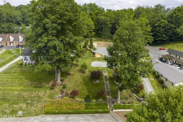 126 Boone St, Jonesborough, TN 37659 - photo 26