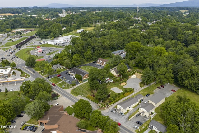 126 Boone St, Jonesborough, TN 37659 - photo 35