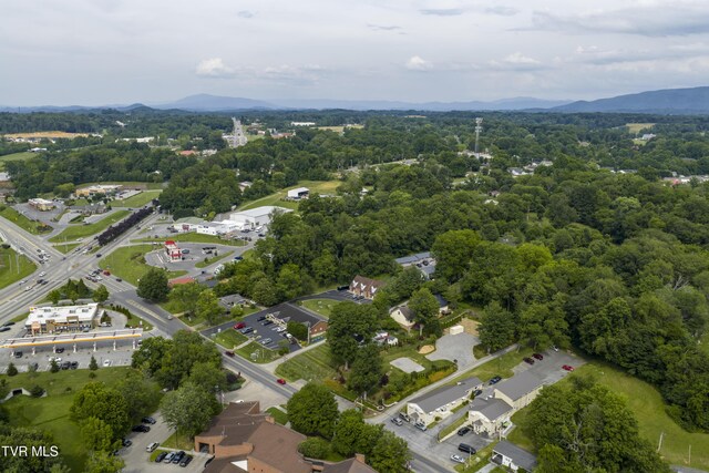126 Boone St, Jonesborough, TN 37659 - photo 36