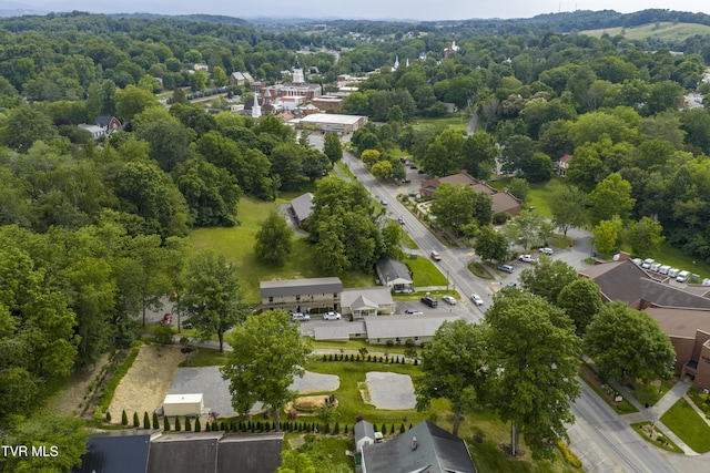 126 Boone St, Jonesborough, TN 37659 - photo 40
