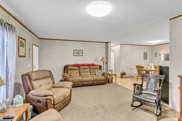 6235 Tazewell Hwy, Sneedville, TN 37869 - photo 7