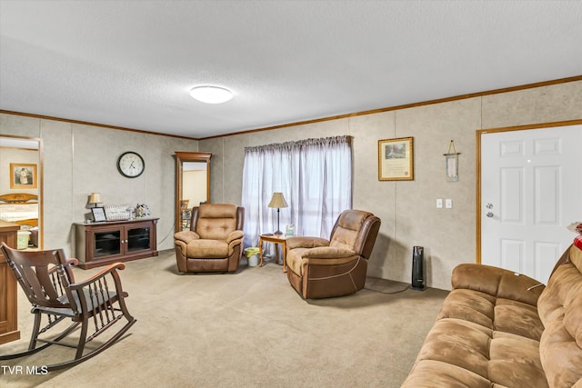 6235 Tazewell Hwy, Sneedville, TN 37869 - photo 8