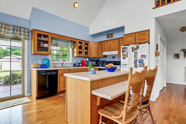 kitchen with black appliances, under cabinet range hood, light countertops, light wood-style floors, and high vaulted ceiling