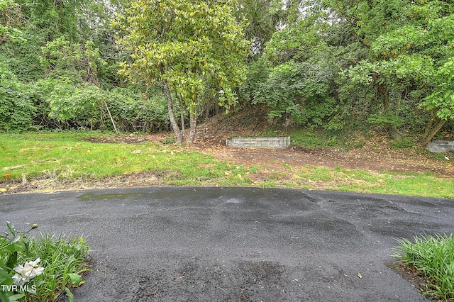 310 Knob Hill Dr, Bristol, TN 37620 - photo 17