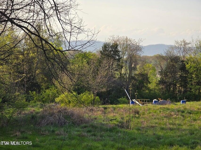 TBD Boatmans Mountain Rd, Morristown, TN 37814