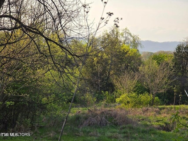 TBD Boatmans Mountain Rd, Morristown, TN 37814