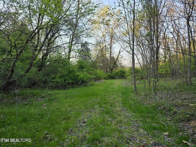 TBD Boatmans Mountain Rd, Morristown, TN 37814