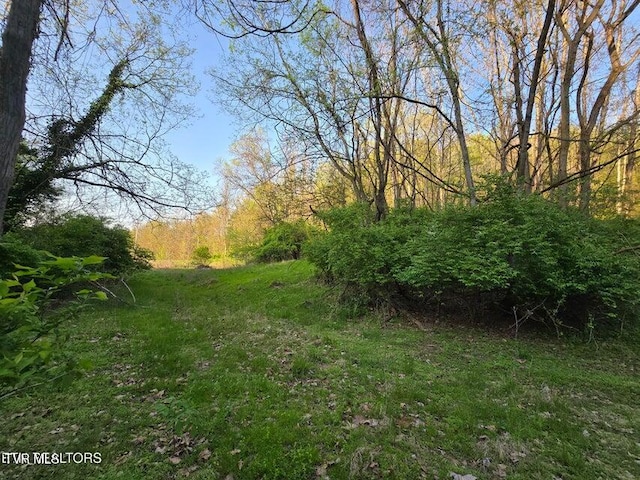 TBD Boatmans Mountain Rd, Morristown, TN 37814