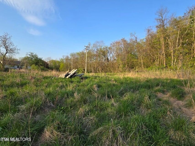 TBD Boatmans Mountain Rd, Morristown, TN 37814