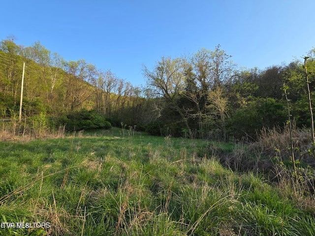 TBD Boatmans Mountain Rd, Morristown, TN 37814