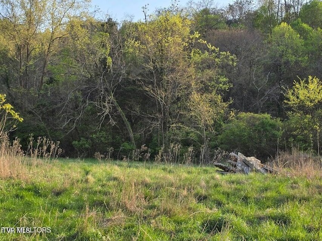 TBD Boatmans Mountain Rd, Morristown, TN 37814