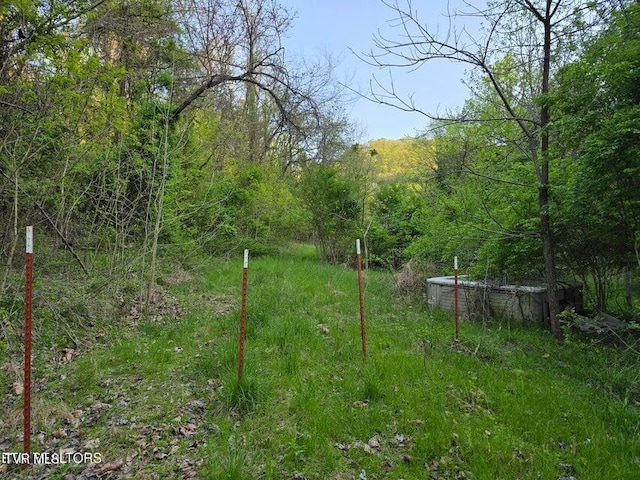 TBD Boatmans Mountain Rd, Morristown, TN 37814
