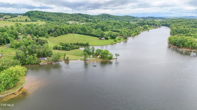 476 Sportsman Dock Rd, Piney Flats, TN 37686 - drone / aerial view of a nearby body of water and a heavily wooded area