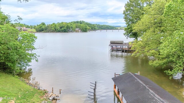 476 Sportsman Dock Rd, Piney Flats, TN 37686 - dock area featuring a water view