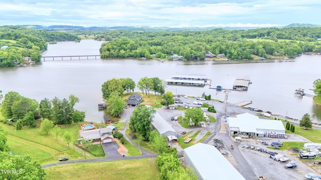 476 Sportsman Dock Rd, Piney Flats, TN 37686 - aerial view of a large body of water and a forest