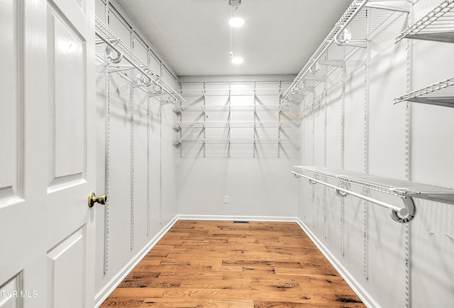 476 Sportsman Dock Rd, Piney Flats, TN 37686 - spacious closet featuring light wood-style floors