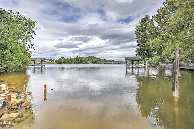 476 Sportsman Dock Rd, Piney Flats, TN 37686 - water view with a dock