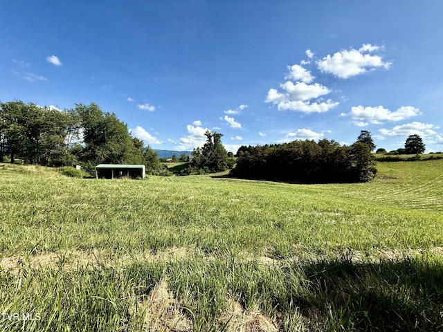 935 Mount Hebron Rd, Greeneville, TN 37743 - photo 2