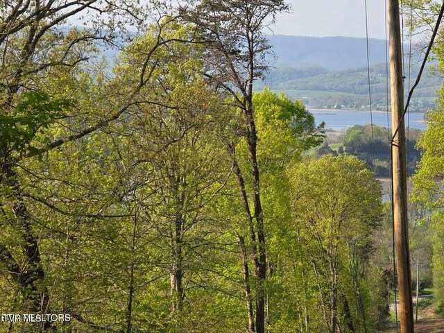 TBD Boatmans Mountain Rd, Morristown, TN 37814 - photo 1