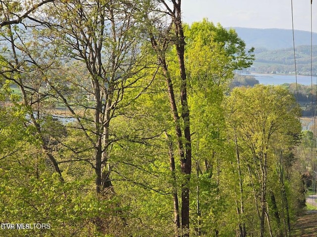 TBD Boatmans Mountain Rd, Morristown, TN 37814 - photo 2