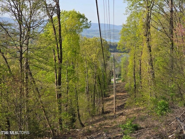 TBD Boatmans Mountain Rd, Morristown, TN 37814 - photo 3