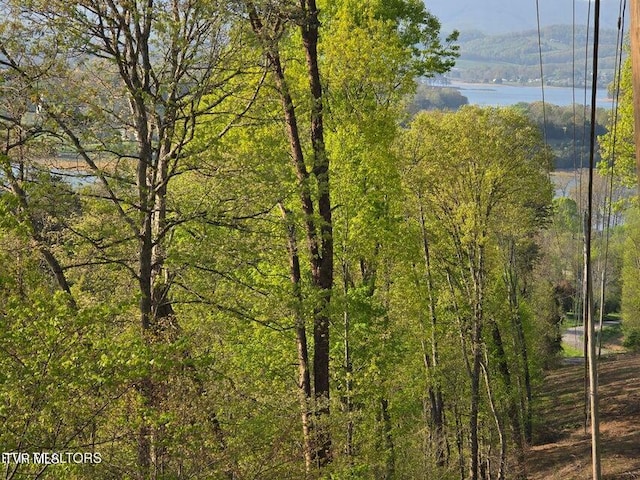 TBD Boatmans Mountain Rd, Morristown, TN 37814 - photo 4