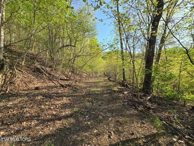 TBD Boatmans Mountain Rd, Morristown, TN 37814 - photo 5