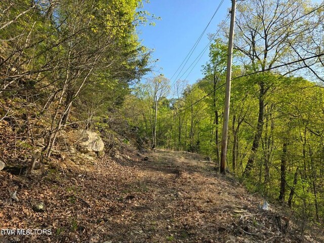 TBD Boatmans Mountain Rd, Morristown, TN 37814 - photo 6