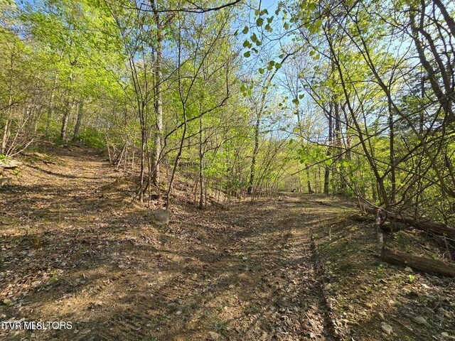 TBD Boatmans Mountain Rd, Morristown, TN 37814 - photo 7