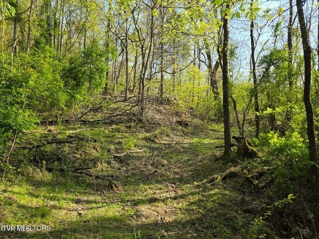 TBD Boatmans Mountain Rd, Morristown, TN 37814 - photo 8