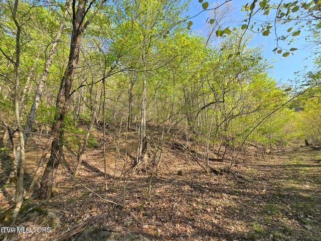 TBD Boatmans Mountain Rd, Morristown, TN 37814 - photo 9