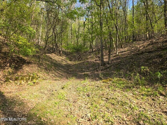 TBD Boatmans Mountain Rd, Morristown, TN 37814 - photo 11