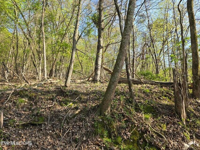 TBD Boatmans Mountain Rd, Morristown, TN 37814 - photo 12