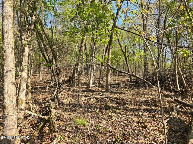 TBD Boatmans Mountain Rd, Morristown, TN 37814 - photo 13