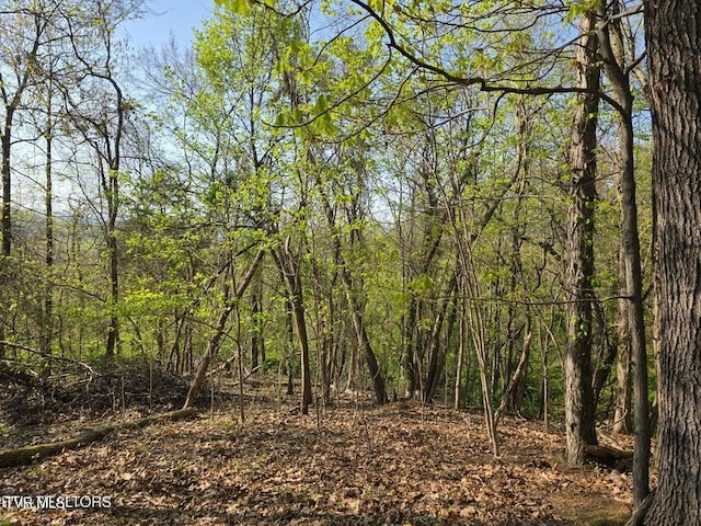 TBD Boatmans Mountain Rd, Morristown, TN 37814 - photo 14