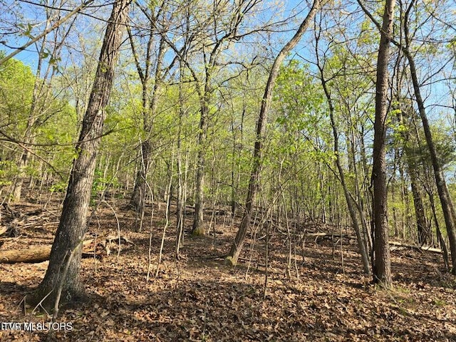 TBD Boatmans Mountain Rd, Morristown, TN 37814 - photo 15