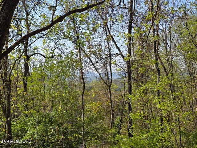 TBD Boatmans Mountain Rd, Morristown, TN 37814 - photo 16