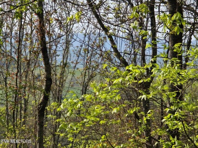 TBD Boatmans Mountain Rd, Morristown, TN 37814 - photo 17