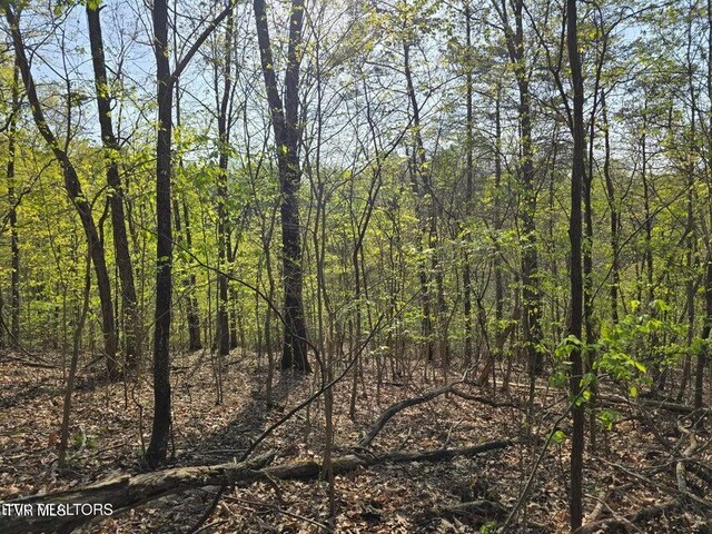 TBD Boatmans Mountain Rd, Morristown, TN 37814 - photo 18