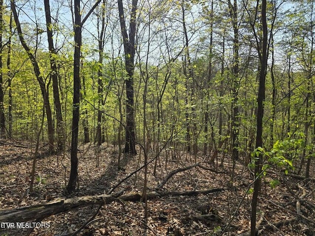 TBD Boatmans Mountain Rd, Morristown, TN 37814 - photo 19