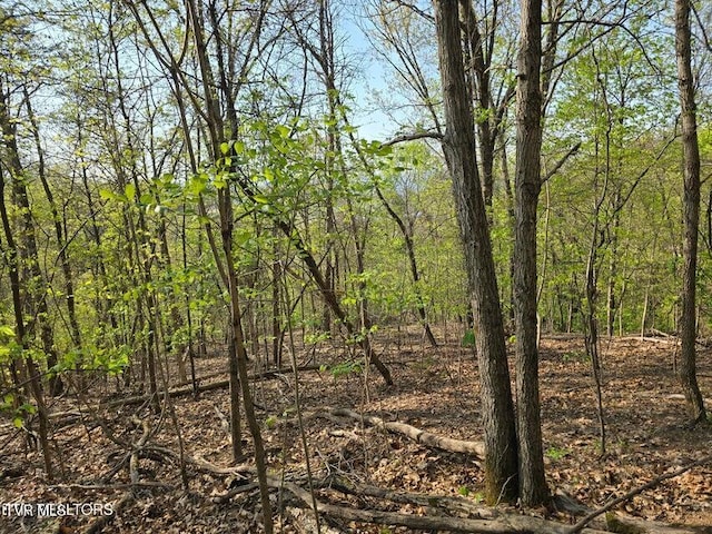 TBD Boatmans Mountain Rd, Morristown, TN 37814 - photo 20