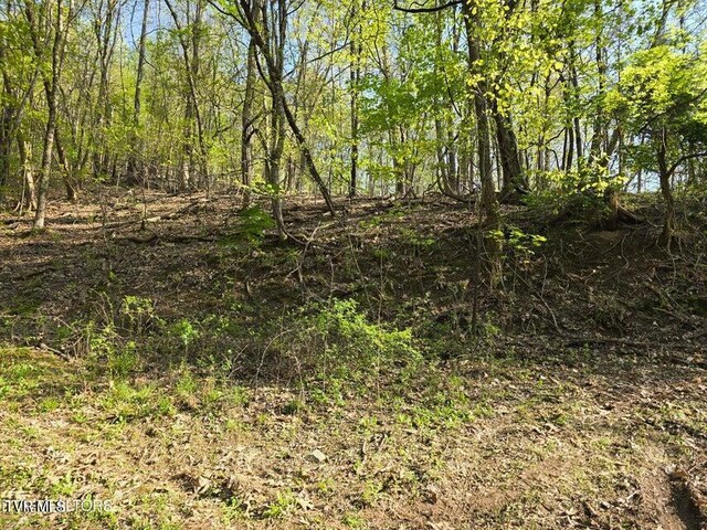 TBD Boatmans Mountain Rd, Morristown, TN 37814 - photo 21