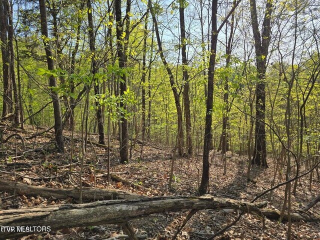 TBD Boatmans Mountain Rd, Morristown, TN 37814 - photo 22
