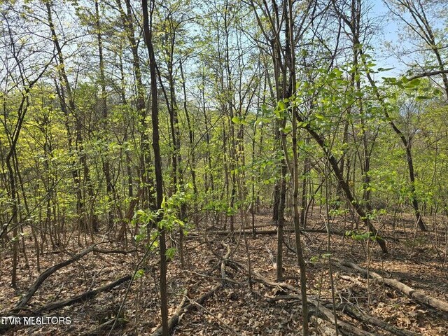 TBD Boatmans Mountain Rd, Morristown, TN 37814 - photo 23