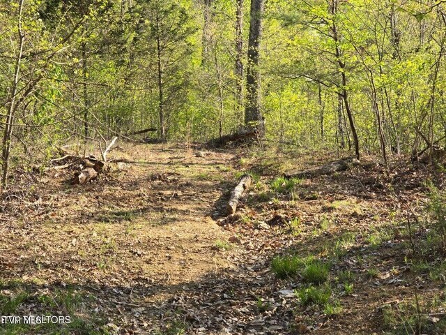 TBD Boatmans Mountain Rd, Morristown, TN 37814 - photo 26