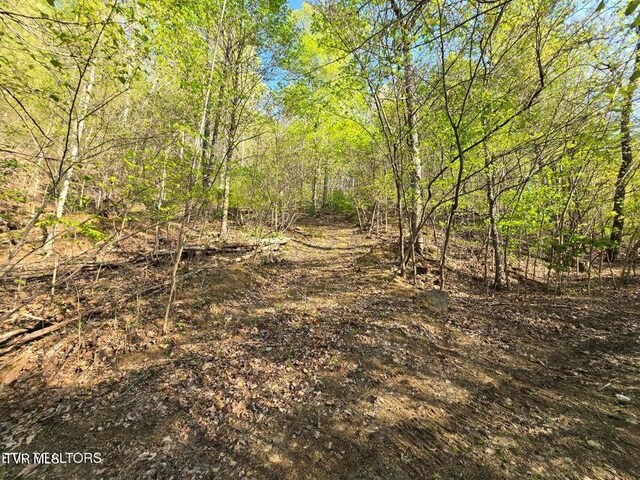 TBD Boatmans Mountain Rd, Morristown, TN 37814 - photo 27